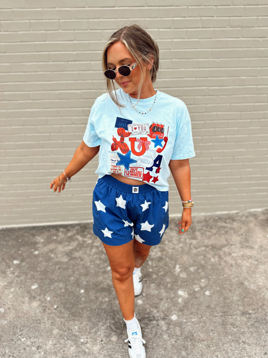 USA Collage graphic BABY BLUE (cropped or full length)