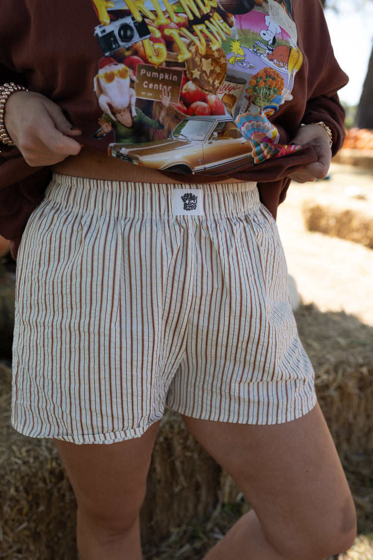 Pin Stripe Brown B&B Boxer Shorts