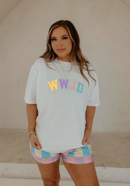 What Would Jesus Do (MULTI-COLOR)